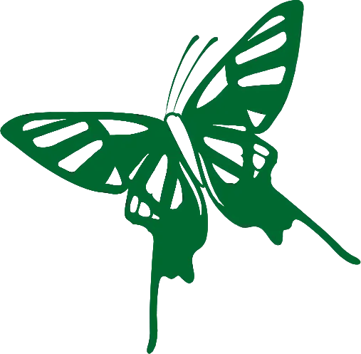 Logo Associazione VOLA Campania